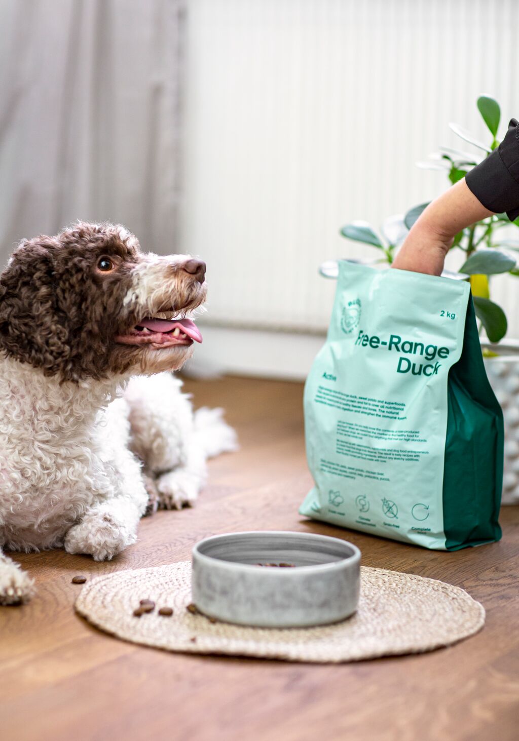 Hund bredvid en påse Buddy torrfoder och en matskål