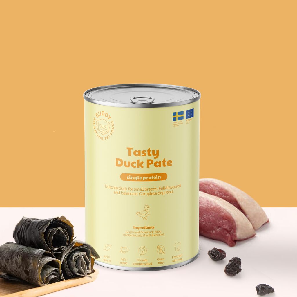 Tasty Duck Pâté