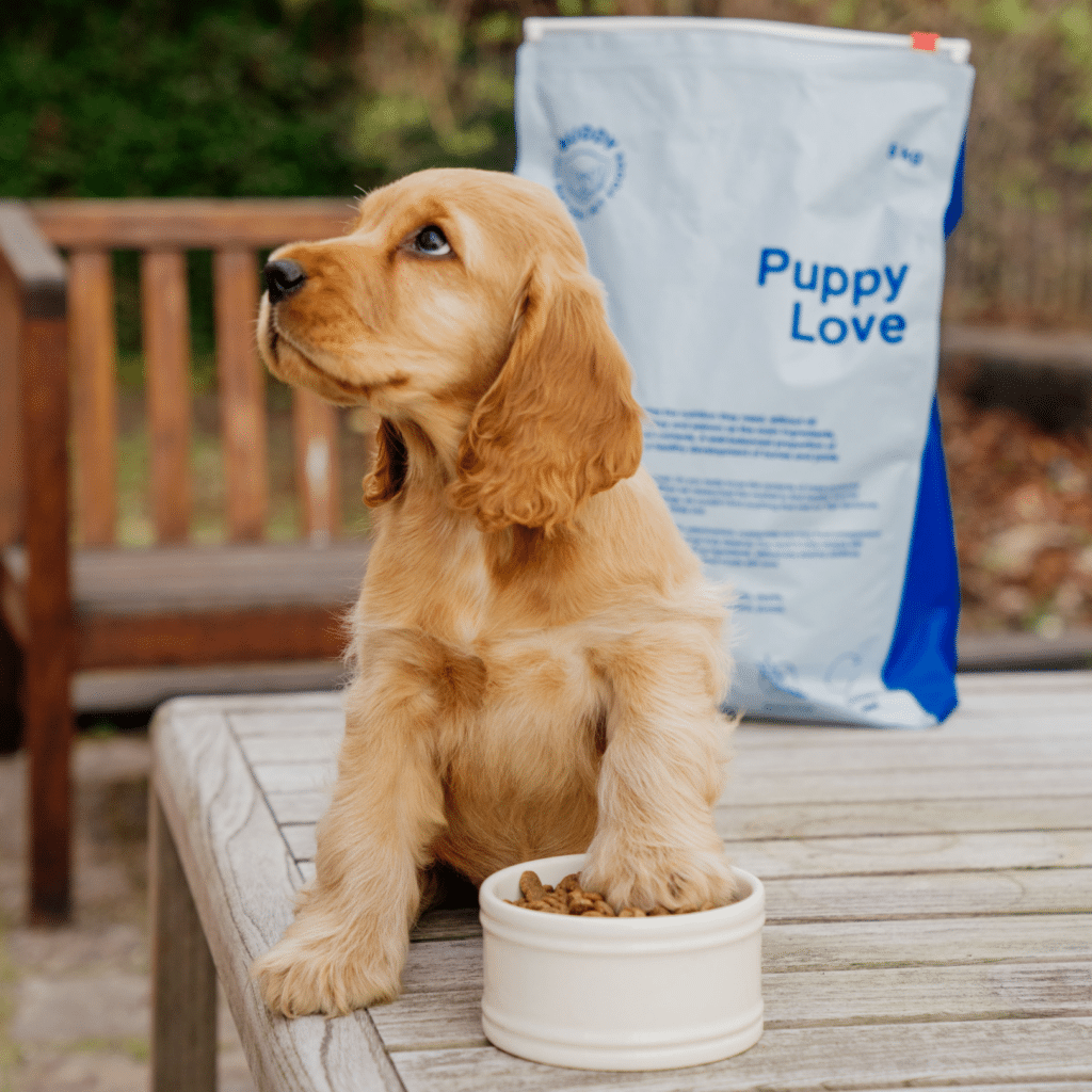 Puppy Love