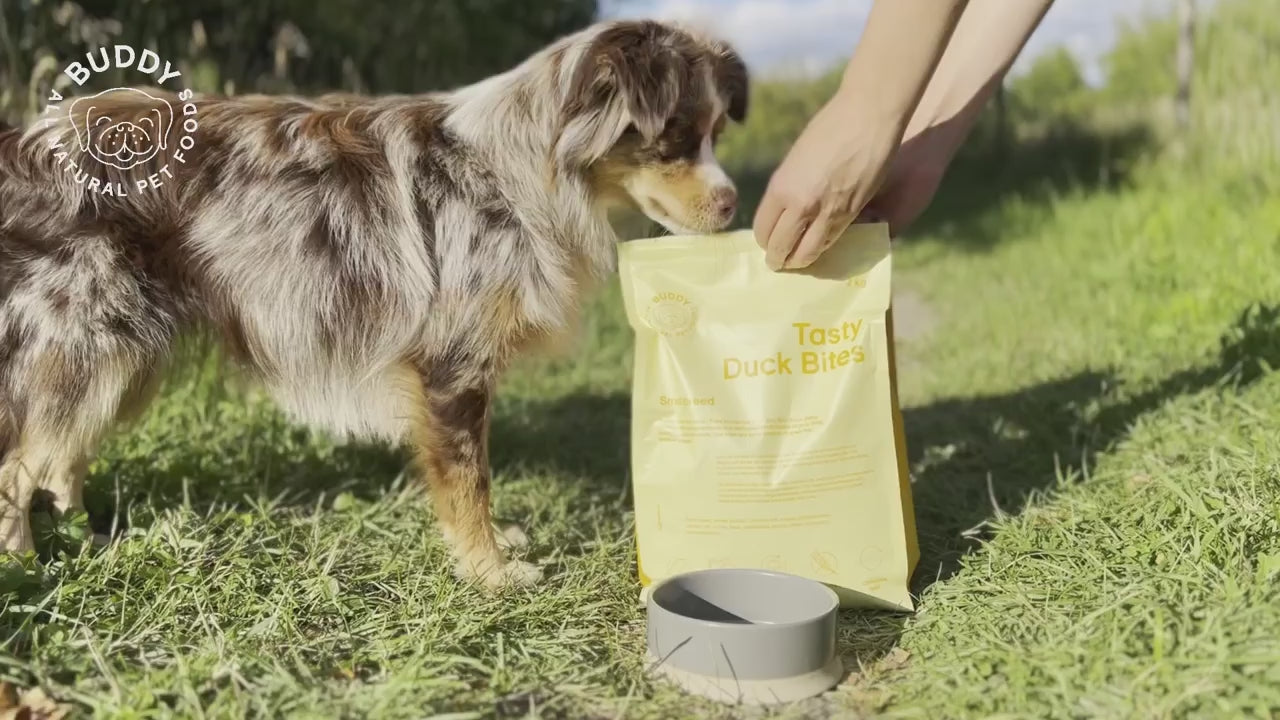 Buddy Pet Foods – hundar som äter Buddy