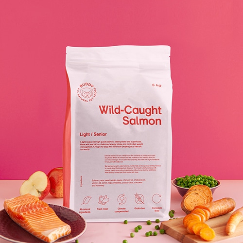 buddy pet foods_ nyttig hundmat