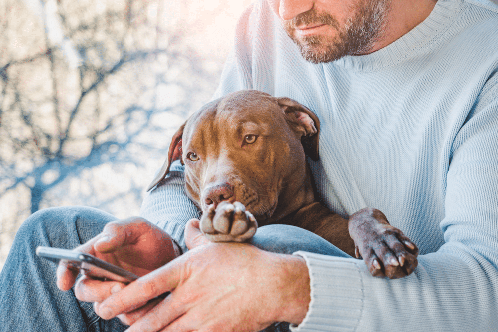 shutterstock_1723560517