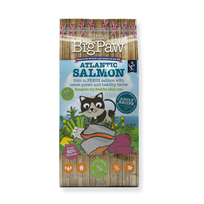 Little BigPaw Atlantic Salmon Dry Food Adult Cats 1500g