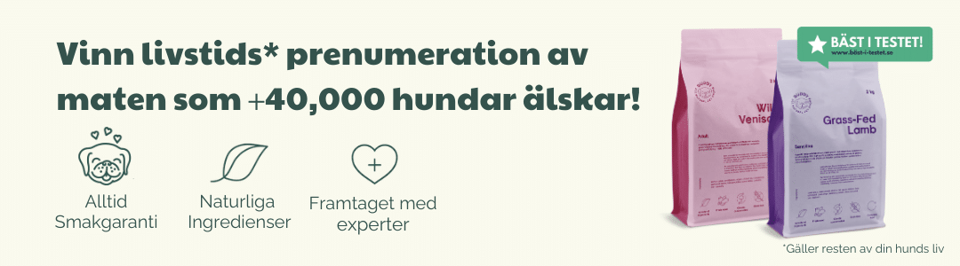 Hundmaten som +40,000 nöjda hundar inte kan få nog av (2)