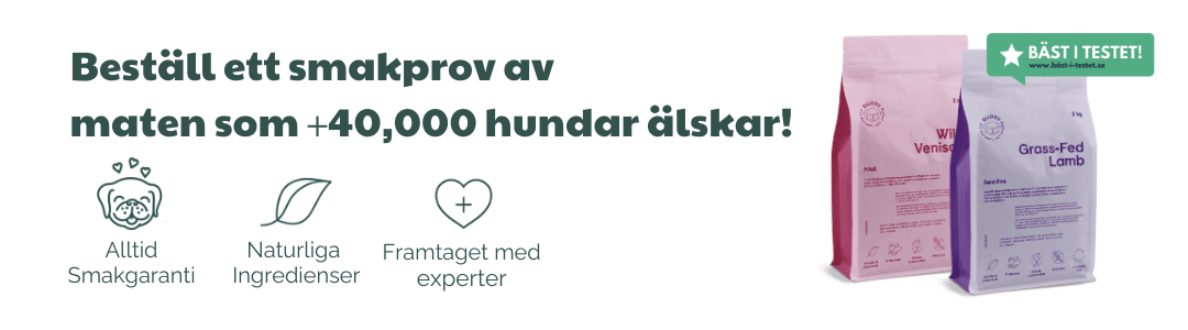 Hundmaten som +40,000 nöjda hundar inte kan få nog av (3)