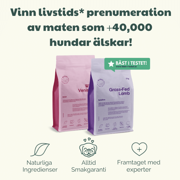 Vinn livstids prenumeration av maten som +40,000 hundar älskar!