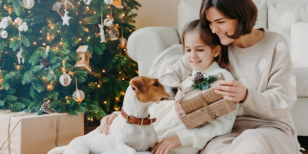 12 Julfilmer att se tillsammans med din hund