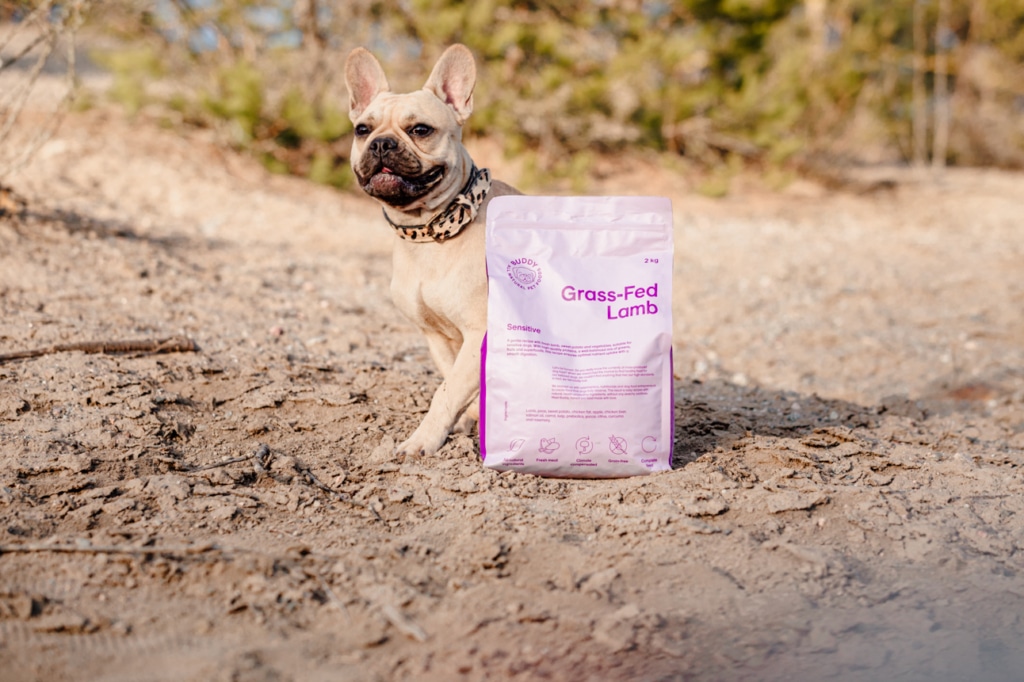 Varför spannmålsfritt hundfoder?