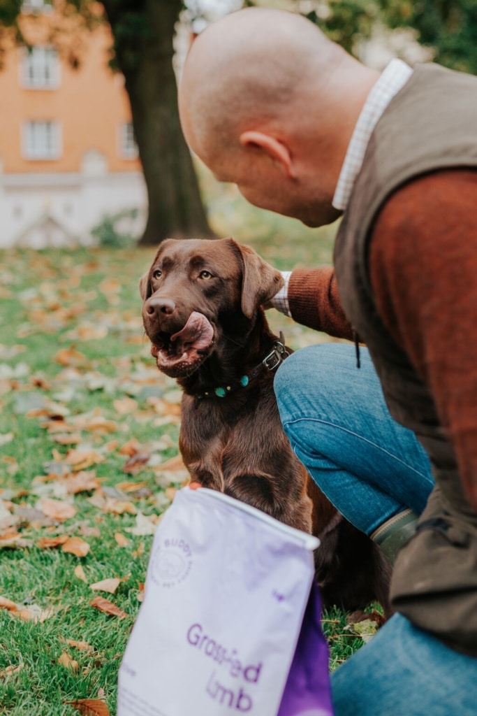 Hund som har diarré eller är lös i magen