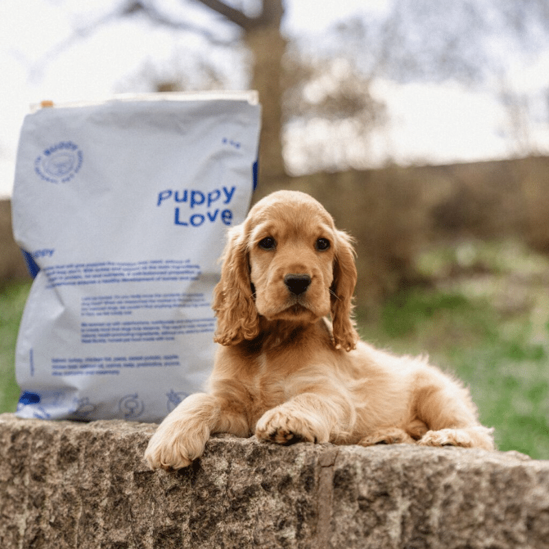 Sample Puppy Love - 100g