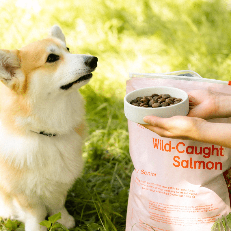Sample Wild-Caught Salmon - 100g