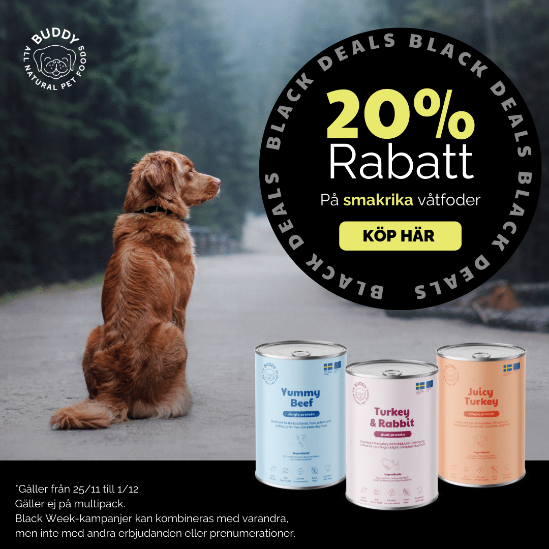 Black Week Buddy - BlACK20