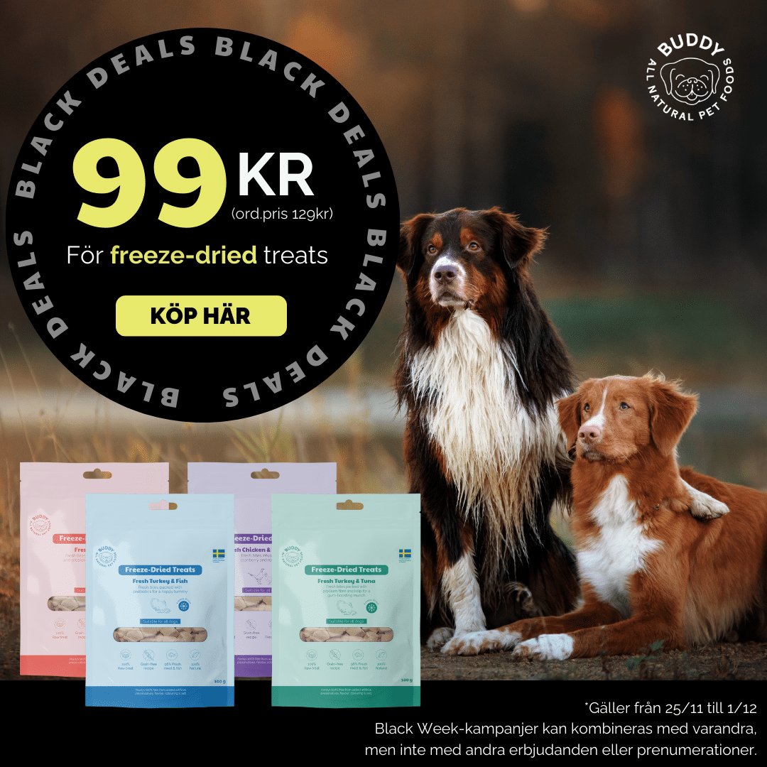 Black Week Buddy - BlACK99