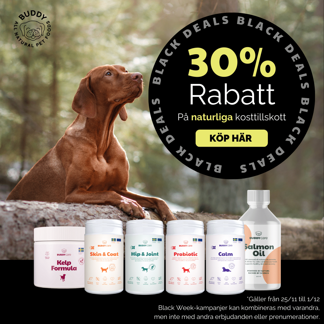 Black week Buddy - BLACK30