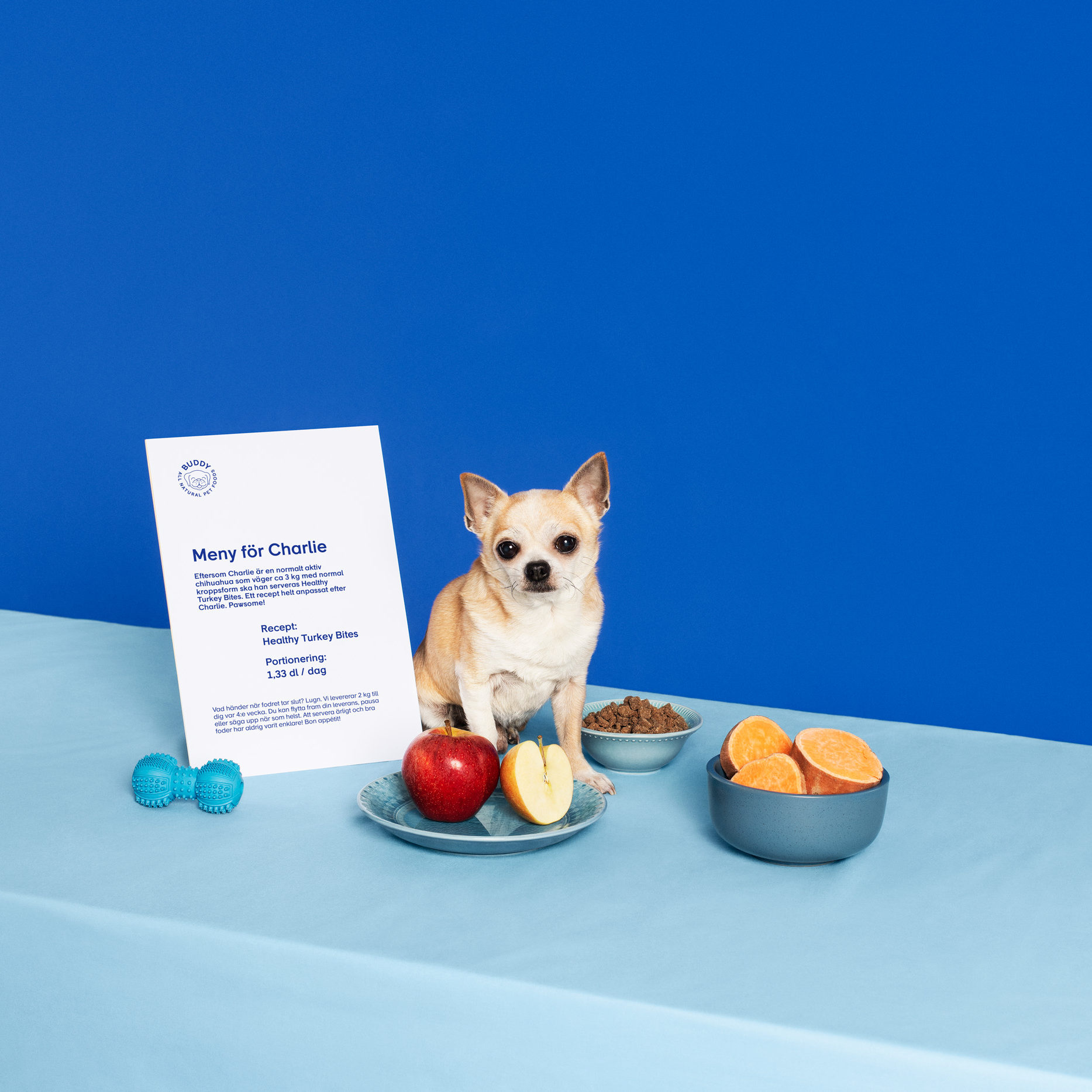BuddyPetFoods_1451_LowRes BuddyPetFoods_1451_LowRes