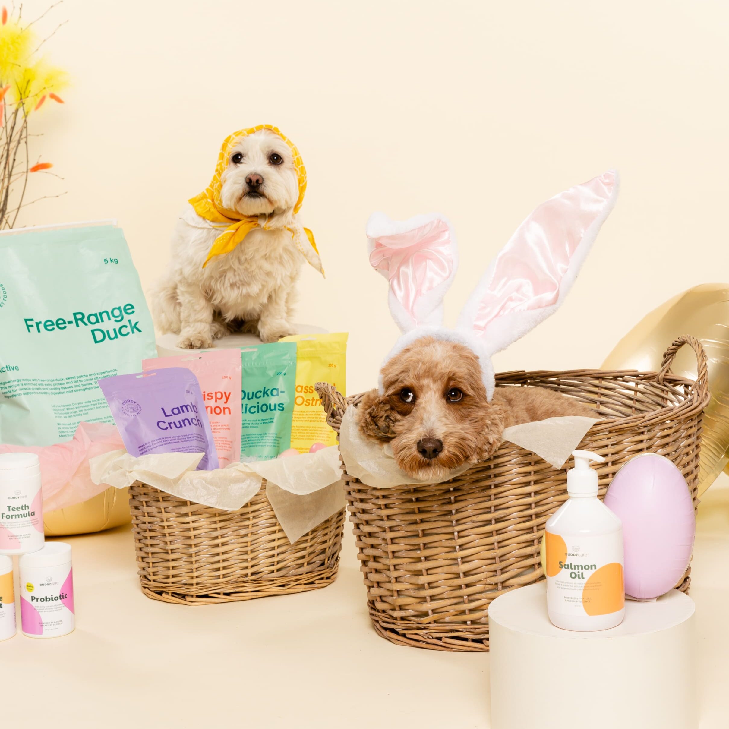 påsk hund buddy hundmat godis